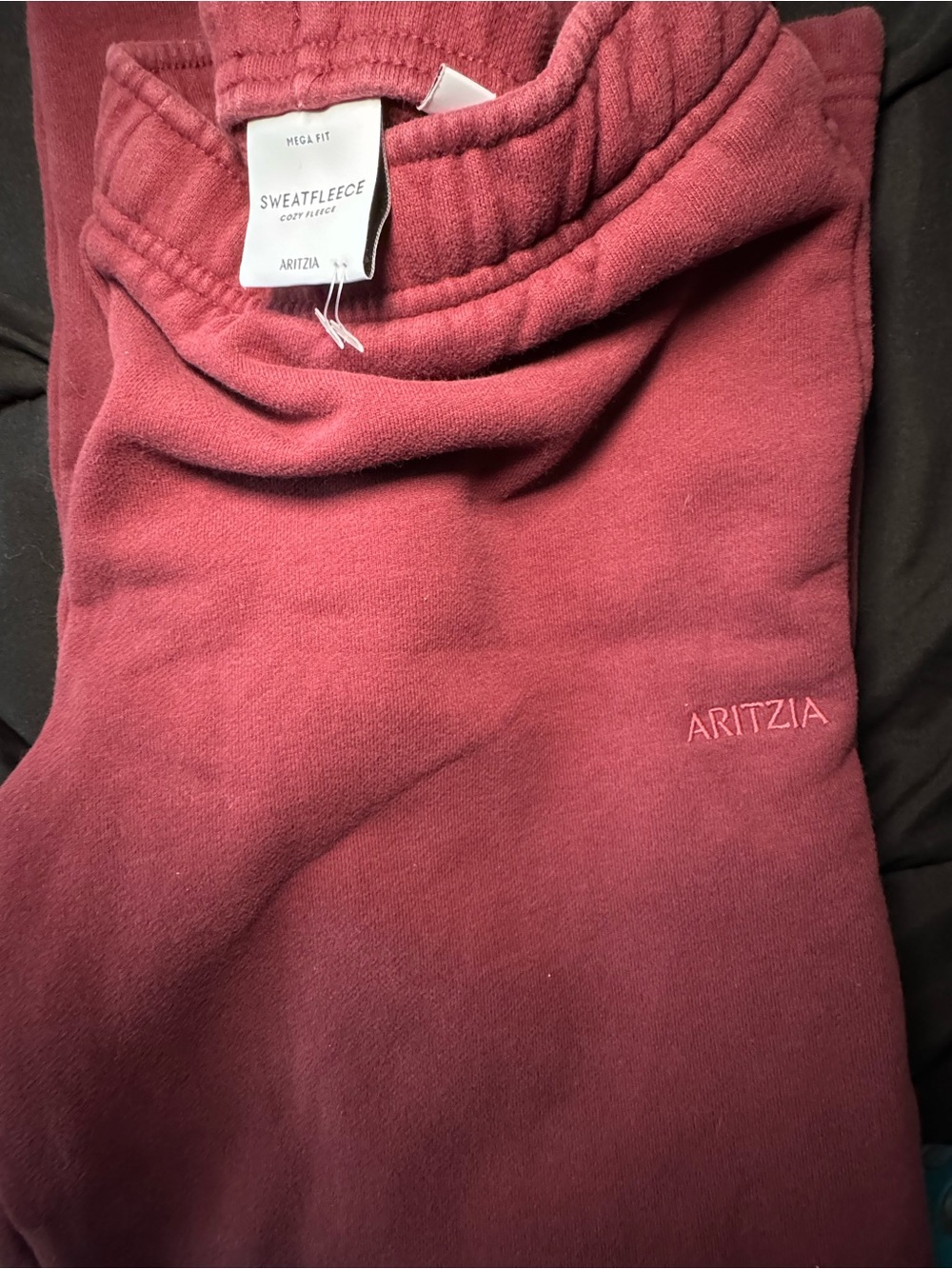 Aritzia Sweatfleece Sweats in Rosewood